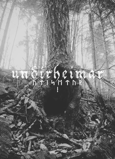 the album cover for Undirheimar - Utisetur I