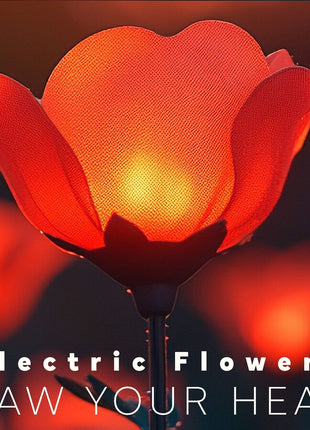 the album cover for Electric Flowers - Electric Flowers: Draw Your Heart (Ita)