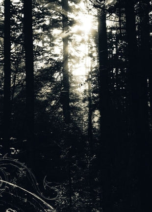 the album cover for Allison Graves - I Still Look For The Mountains