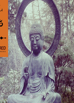 the album cover for 3sixdy - Sacred Frequencies