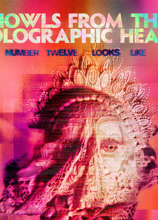the album cover for Number Twelve Looks Like You - Howls From The Holographic Heart