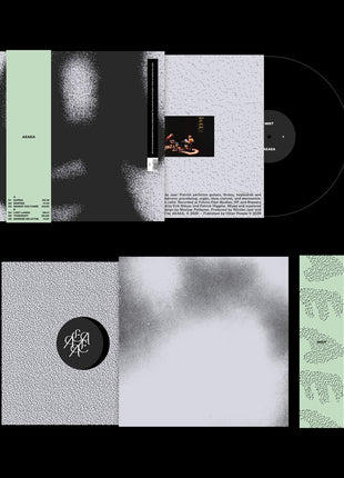 the album cover for Aeaea - Mist