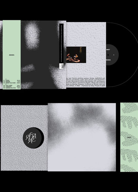 the album cover for Aeaea - Mist