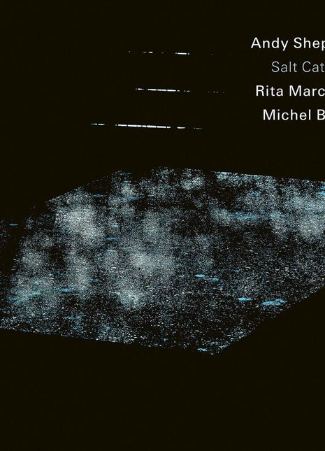 the album cover for Andy Sheppard  / Marcotulli,Rita / Benita,Michel - Salt Catchers