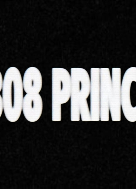 the album cover for 808 Prince - 808 Prince