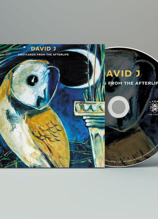the album cover for David J - Postcards From The Afterlife