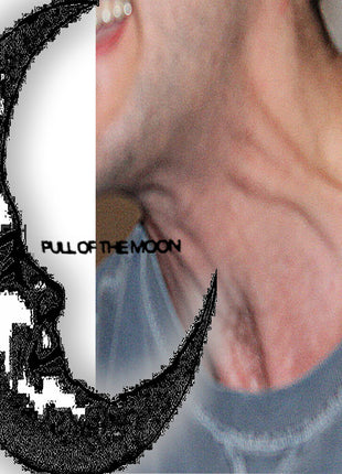 the album cover for Billboard Style - Pull Of The Moon