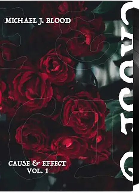 the album cover for Michael Blood  J - Cause & Effect Vol 1