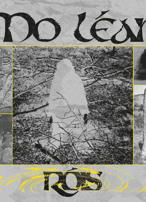 the album cover for Rois - Mo Lean