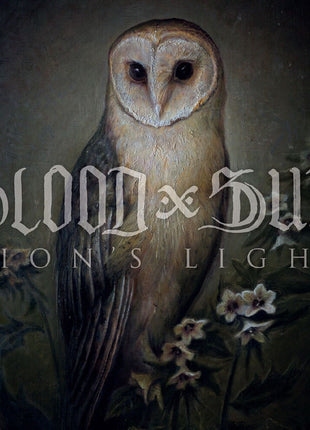 the album cover for Blood & Sun - Aion's Light