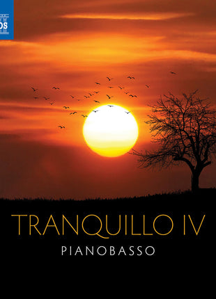 the album cover for PianoBasso - Tranquillo Iv