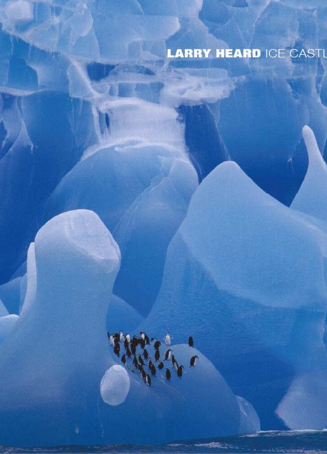 the album cover for Larry Heard - Ice Castles