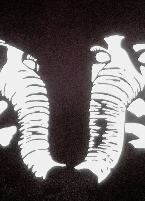 the album cover for Death From Above 1979 - Private Lives