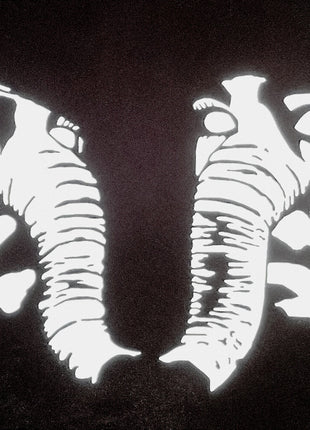 the album cover for Death From Above 1979 - Private Lives [Clear Vinyl] (Gol)