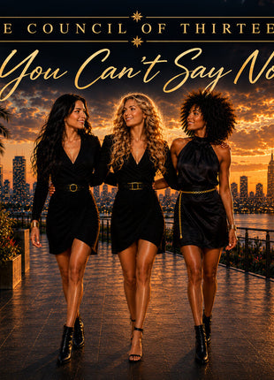 the album cover for Council Of Thirteen - You Can't Say No [Limited Edition]
