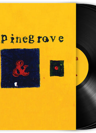 the album cover for Pinegrove - Everything So Far - 11th Anniversary Edition [Black]