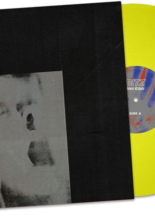 the album cover for Ditz - Never Exhale [Colored Vinyl] (Ylw)