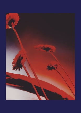 the album cover for Nothing Ever Was: Compiled By Dj Sundae / Var - Nothing Ever Was: Compiled By Dj Sundae / Var