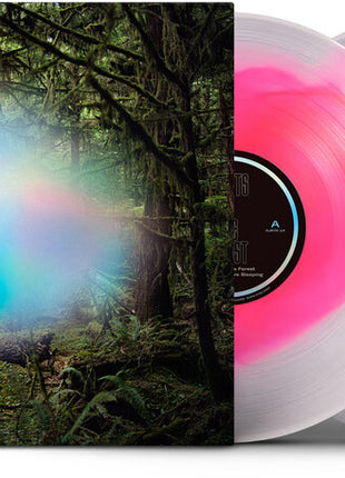 the album cover for Ghosts of the Forest - Ghosts Of The Forest [Clear Vinyl] (Pnk) [Reissue]