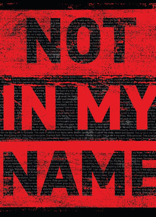 the album cover for Archive - Not In My Name