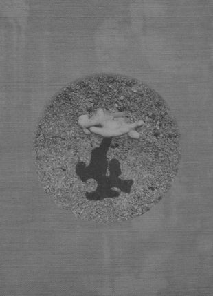 the album cover for Tara Cunningham - Warm Ground