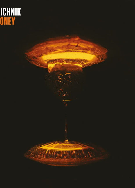 the album cover for Sam Michnik - Mad Honey