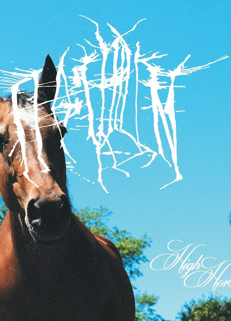 the album cover for Ffo: Chillin - High Horse