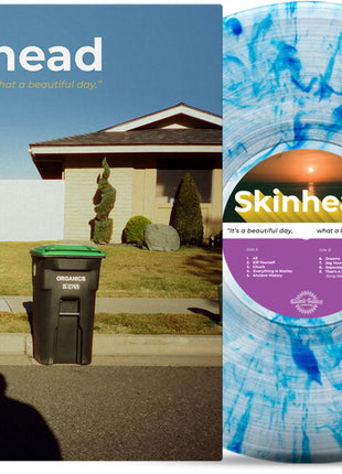 the album cover for Skinhead - It's A Beautiful Day What A Beautiful Day (Blue)