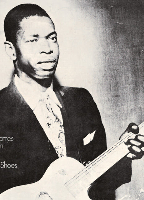 the album cover for Elmore James  / Brim,John - Whose Muddy Shoes [180 Gram]
