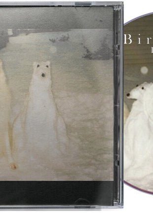 the album cover for Birth Day - Boyhood