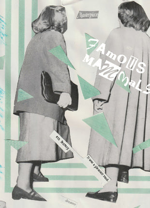 the album cover for Famous Mammals - It Was A Pleasant Modern Fantasy