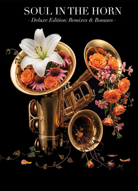 the album cover for Soul In The Horn - Act 4: Deluxe Edition (Remixes & Bonuses)