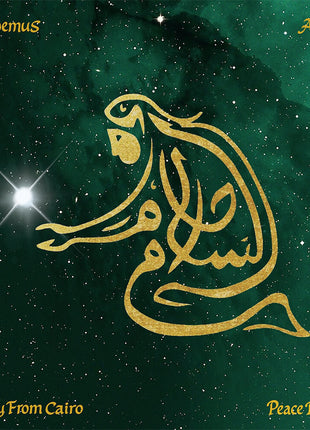 the album cover for Nickodemus & Apelika featuring The Spy from Cairo - Peace Dreams