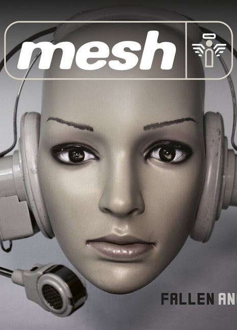 the album cover for Mesh - Fallen Angel