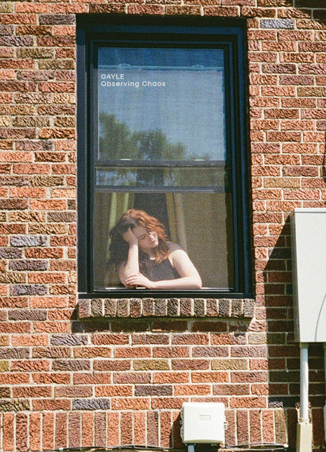 the album cover for Gayle - Observing Chaos (Mod)