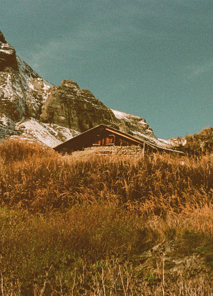 the album cover for Yoo Doo Right - Build & Rest By The Shepherd's Light