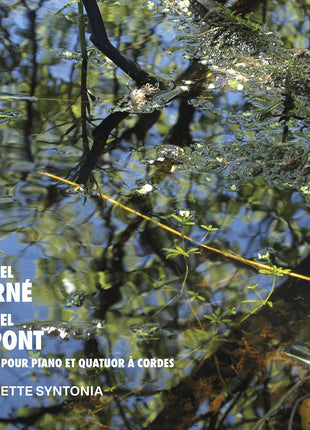 the album cover for Quintette Syntonia - Pierne & Dupont: Oeuvres Pour Pno Et Quatuor A