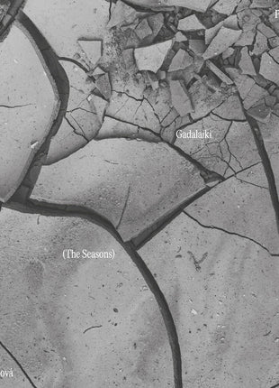 the album cover for Terezie Fialova - Peteris Vasks: Gadalaiki (The Seasons) - Terezie