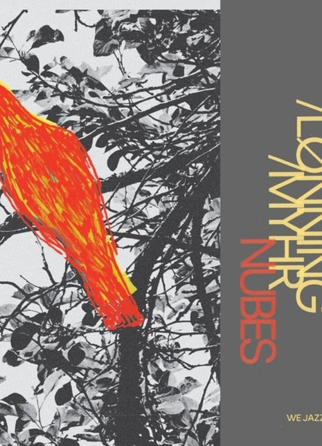 the album cover for Olavi Louhivuori / Eivind Lonning / Kim Myhr - Nubes