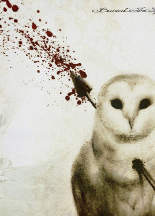 the album cover for Buried In Spring - Buried In Spring (Ep)