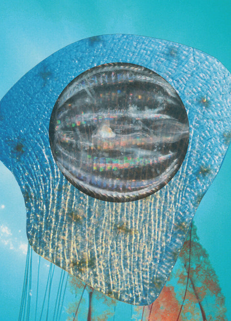 the album cover for Ocean Moon / Silver Ley - Prismatic Fields