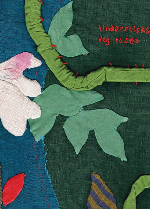 the album cover for Tindersticks - Dog Rose