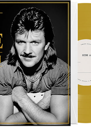the album cover for Joe Diffie - Pickup Man [Gold]