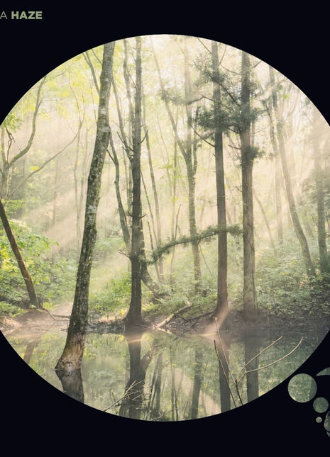 the album cover for Yamaoka - Haze