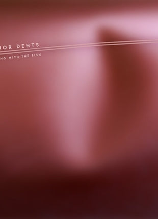 the album cover for Minor Dents - Sitting With the Fish