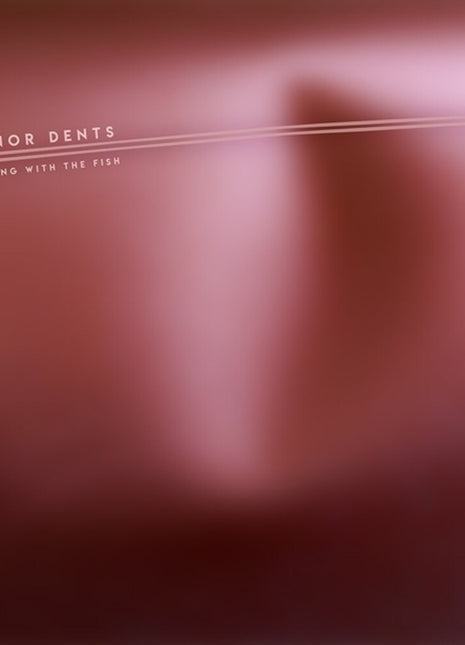the album cover for Minor Dents - Sitting With the Fish