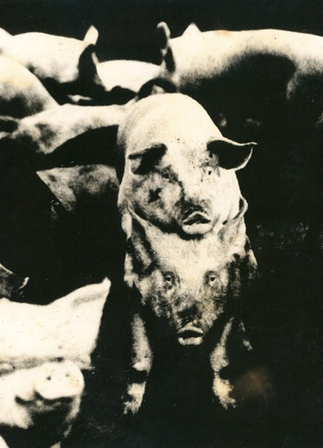 the album cover for Eskorbuto - Mucha Policia Poca Diversion (Ep)