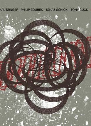 the album cover for Hautzinger / Zoubek / Schick / Buck - Pulsar