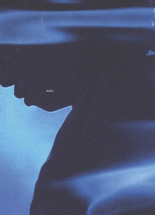 the album cover for Niknak - Azul