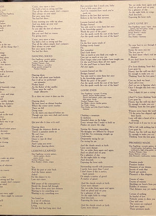 Dan Fogelberg : Nether Lands (LP, Album, RE, Pit)